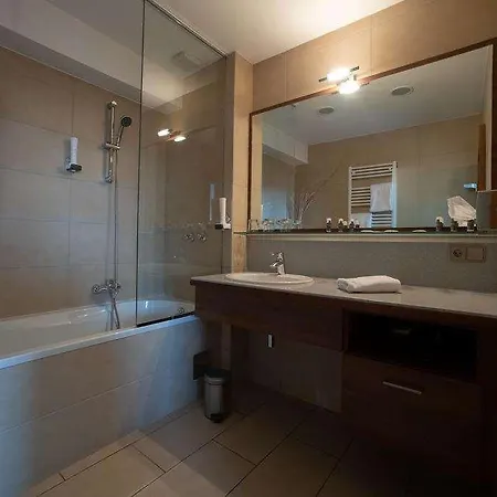 מלון Reinisch - Near Vienna Airport 4*