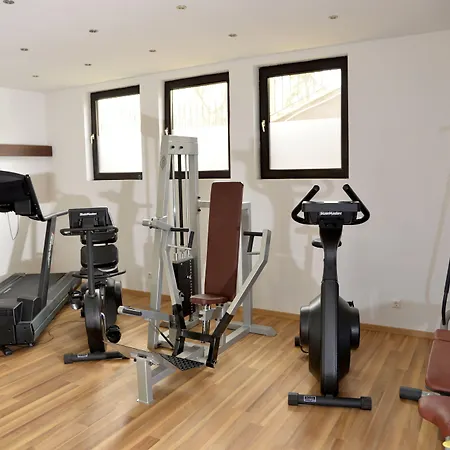 מלון Reinisch - Near Vienna Airport 4*