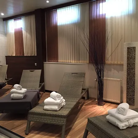 Reinisch - Near Vienna Airport 4* שווכאט