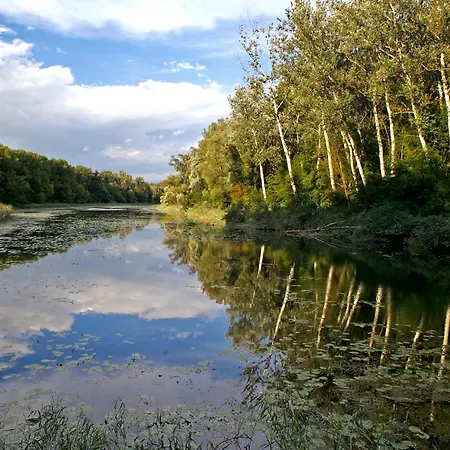 Reinisch - Near Vienna Airport