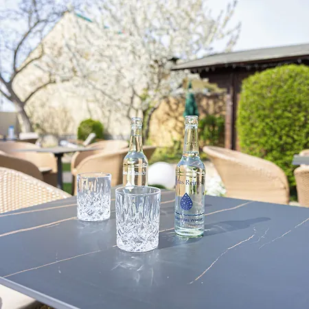 Hotel Reinisch - Near Vienna Airport Schwechat