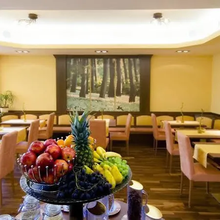 Reinisch - Near Vienna Airport 4* Schwechat