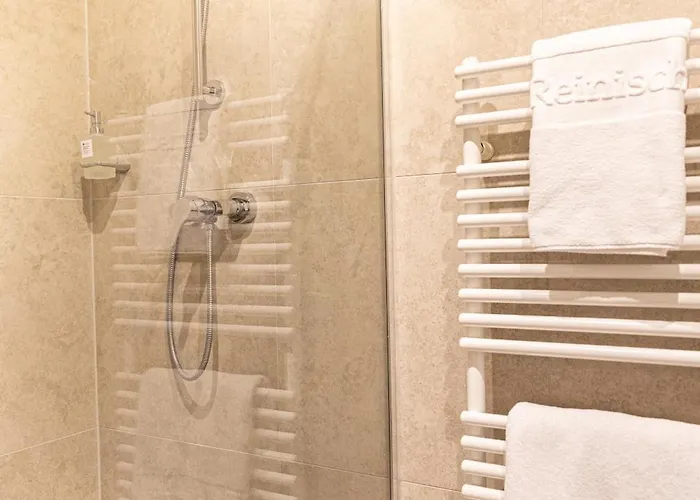 Reinisch - Near Vienna Airport 4* シュベッヒャート