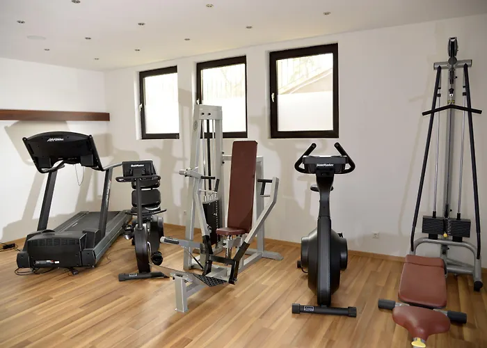 Hotel Reinisch - Near Vienna Airport 4*