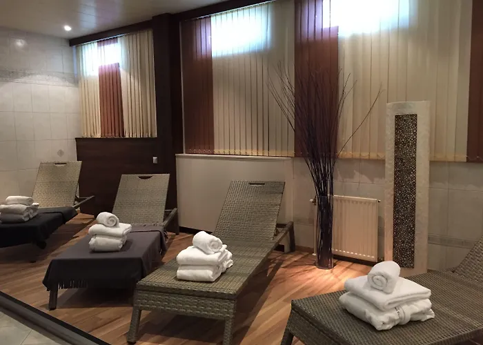 Reinisch - Near Vienna Airport 4* シュベッヒャート