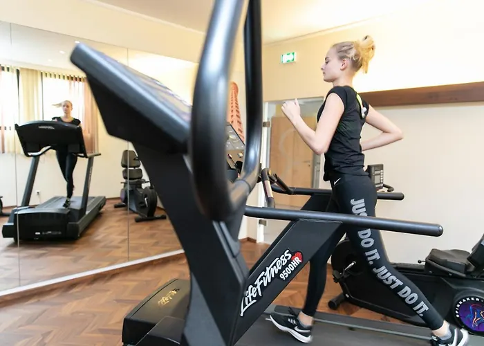 Reinisch - Near Vienna Airport 4*