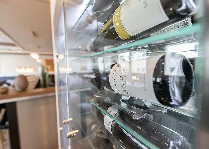 Reinisch - Near Vienna Airport ホテル 4*